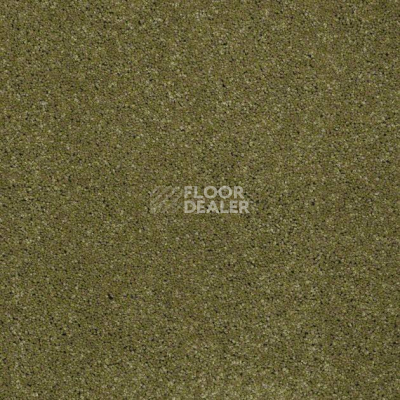Ковролин Shaw Design Texture Platinum 321 фото 1 | FLOORDEALER