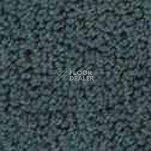 Ковролин Infloor Color 53 560 фото 1 | FLOORDEALER