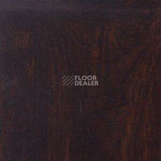 Линолеум Polyflor Kudos 19101 фото 1 | FLOORDEALER