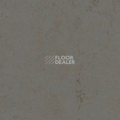Линолеум Forbo Marmoleum Solid Concrete 3703 comet фото 1 | FLOORDEALER
