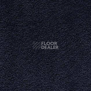 Ковролин AW Softissimo 77 фото 1 | FLOORDEALER