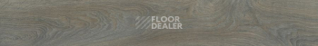 FineFloor FF-1900 Rich 1974 Дуб Понца фото 2 | FLOORDEALER