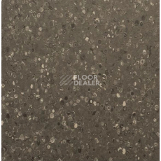 Линолеум Apoluza Tangyun 1004 фото 1 | FLOORDEALER