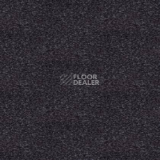 Ковролин Tapibel Spirit 8850 фото 1 | FLOORDEALER