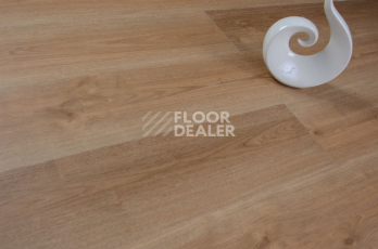 Evofloor Optima Click 4.2мм Дуб Миндаль фото 3 | FLOORDEALER