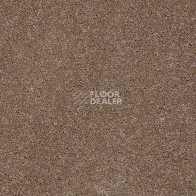 Ковролин Shaw Design Texture Platinum 700 фото 1 | FLOORDEALER