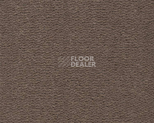 Ковролин Best Wool Pure Tasman 131 фото 1 | FLOORDEALER