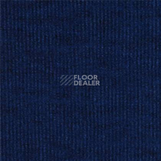 Ковролин Tapibel Ascot 3538 фото 1 | FLOORDEALER