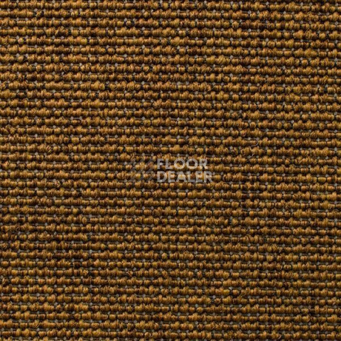 Ковролин Carpet Concept Eco Iqu 60239 фото 1 | FLOORDEALER