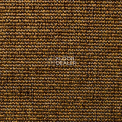 Ковролин Carpet Concept Eco Iqu 60239 фото 1 | FLOORDEALER
