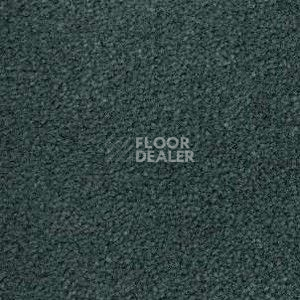 Ковролин Radici Montecarlo 67 фото 1 | FLOORDEALER