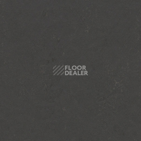 Линолеум Forbo Marmoleum Sport 83707 black hole фото 1 | FLOORDEALER
