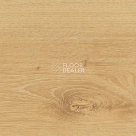My Step Mega 12 ms 2812 Дуб Лион фото 2 | FLOORDEALER