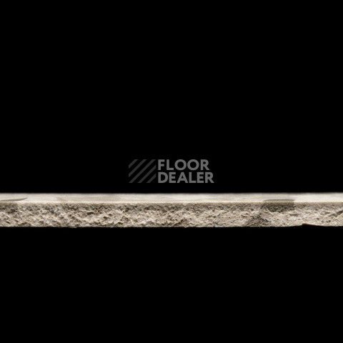 Tarkett Primo Plus 313 фото 3 | FLOORDEALER