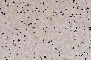 Линолеум DLV Flooring Standard Conductive 802 Silver фото  | FLOORDEALER