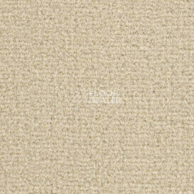 Ковролин Balsan Residentiel 616 фото 1 | FLOORDEALER