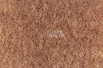 Forbo Flotex Colour s 482019 Penang Ginger фото 2 | FLOORDEALER