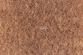 Forbo Flotex Colour s 482019 Penang Ginger фото 2 | FLOORDEALER