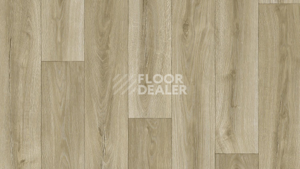 Линолеум Tarkett Activa R DUERO 2 фото 1 | FLOORDEALER