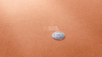 Ковролин Vorwerk Superior 1063 Vorwerk 1n60 фото 1 | FLOORDEALER