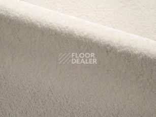 Ковролин Radici Dolce Vita 1302 фото 1 | FLOORDEALER