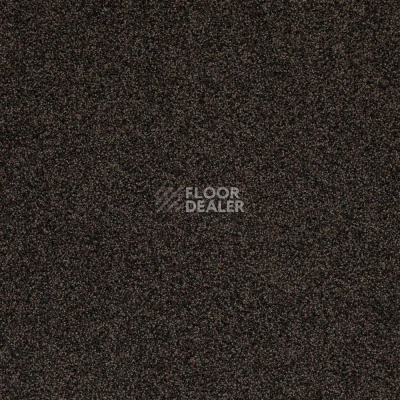 Ковровая плитка Betap Transmit 78 фото 1 | FLOORDEALER
