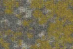Ковровая плитка Bloq Create Large Create Large 207 Dijon c фото  | FLOORDEALER