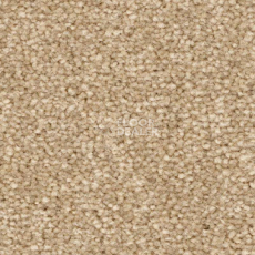 Ковролин Balsan First Class 630 фото 1 | FLOORDEALER