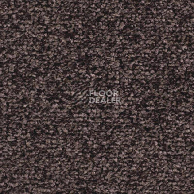 Ковролин Balsan Ultrasoft 790 фото 1 | FLOORDEALER