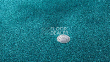 Ковролин Vorwerk Superior 1064/Lyrica Vorwerk 3q58 фото 1 | FLOORDEALER