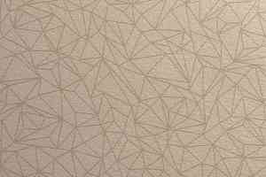 Линолеум Gerflor Taralay Initial Compact (Plain & allover look) 0957 Spider Cuivre фото  | FLOORDEALER
