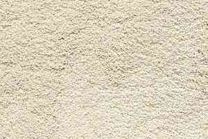 Ковролин Shaw Cashmere IV 100 фото  | FLOORDEALER