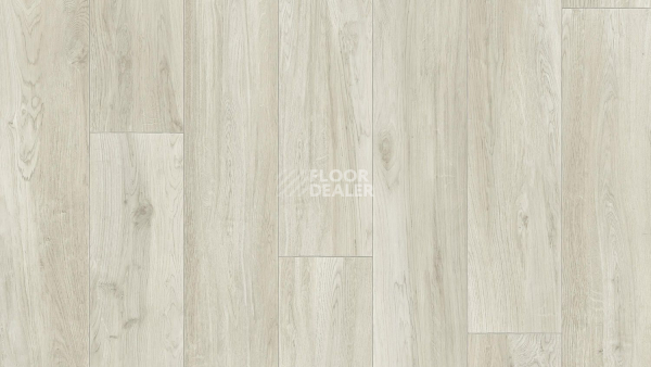 Линолеум Tarkett Idylle Nova BRUT 1 фото 1 | FLOORDEALER