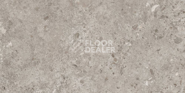 Керамогранит Bierzo 60X120 Gris фото 1 | FLOORDEALER