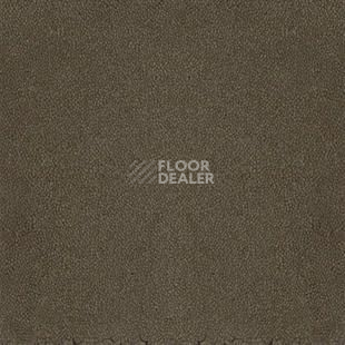 Ковролин Desso Asteranne 9113 фото 1 | FLOORDEALER