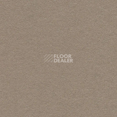 Линолеум Forbo Marmoleum Bulletin Board 2208 mushroom medley фото 1 | FLOORDEALER