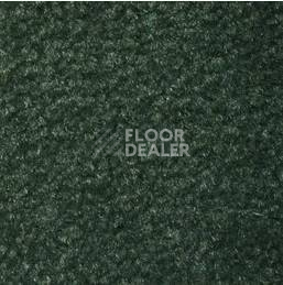 Ковролин Emphatic Beaulieu of America 56366 фото 1 | FLOORDEALER