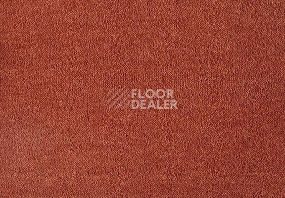 Ковролин Lano Dream 321 Orange 1 фото 1 | FLOORDEALER