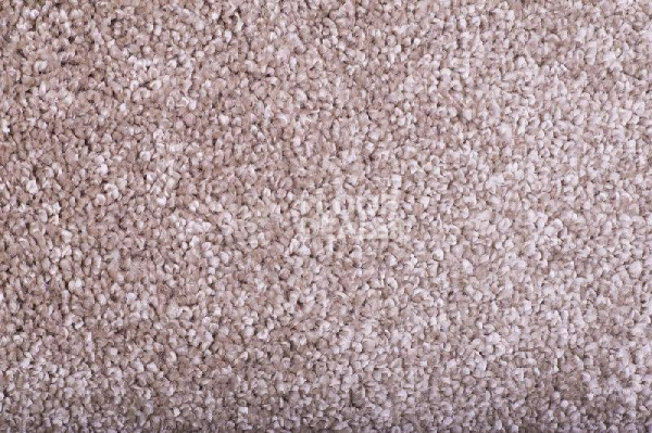 Ковролин Tarkett Diva 80981 фото 1 | FLOORDEALER