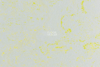 Линолеум Forbo Marmoleum Solid Concrete 3736-373635 green shimmer фото 1 | FLOORDEALER