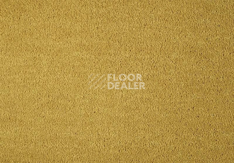 Ковролин Lano Dream 371 Gold 1 фото 1 | FLOORDEALER