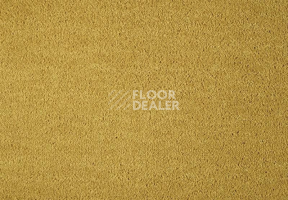 Ковролин Lano Dream 371 Gold 1 фото 1 | FLOORDEALER
