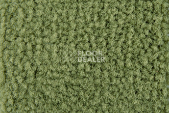 Balsan Les Best S 255 фото 2 | FLOORDEALER