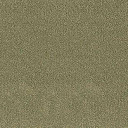 Ковролин Desso Asteranne 7853  | FLOORDEALER