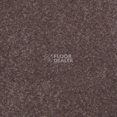 Ковролин Shaw Design Texture Platinum 922 фото 1 | FLOORDEALER