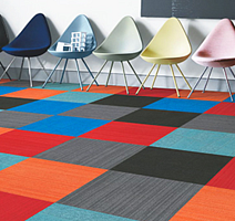 Innovflor Basis