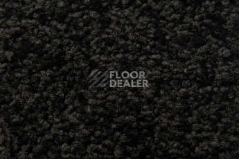 Balsan Serenite 980 фото 2 | FLOORDEALER
