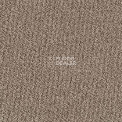 Ковролин Creatuft Sheba 1030 Greige 4 + 5m фото 1 | FLOORDEALER