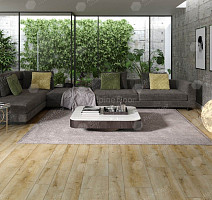 Classen Arteo 8 M