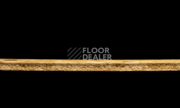 Tarkett Primo Plus 303 фото 3 | FLOORDEALER